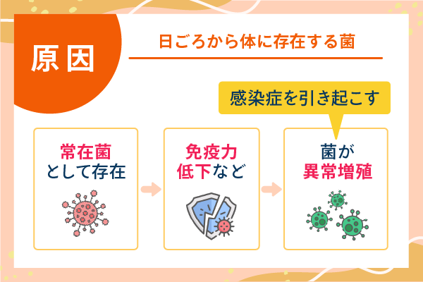 原因 日頃から体に存在する菌