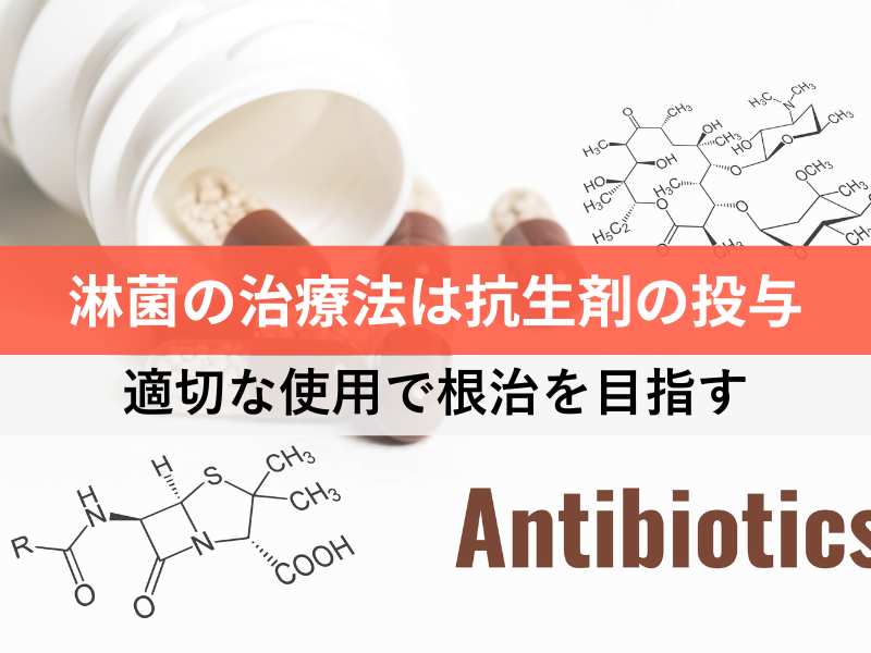 淋病の治療法は抗生剤の投与 適切な使用で根治を目指す