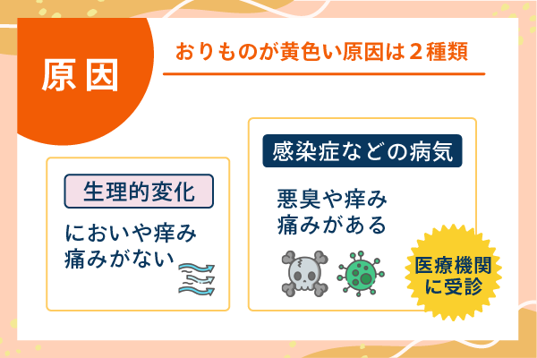おりものが黄色い原因は2種類