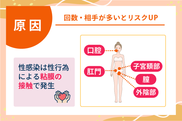 原因　回数・相手が多いとリスクUP