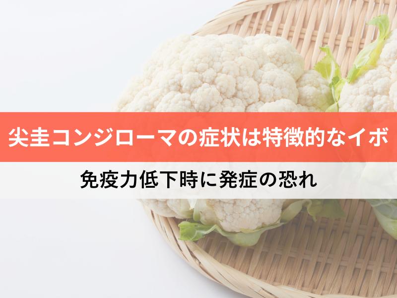 尖圭コンジローマの症状は特徴的なイボ　免疫力低下時に発症の恐れ
