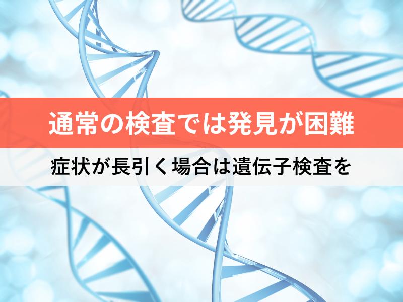 ウレアプラズマは通常の検査では発見が困難 症状が長引く場合は遺伝子検査を
