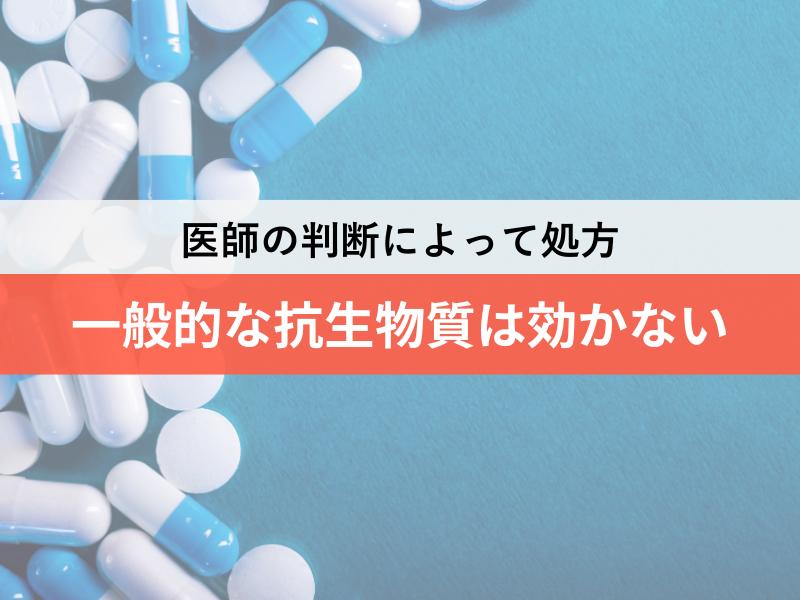 ウレアプラズマに一般的な抗生物質は効かない