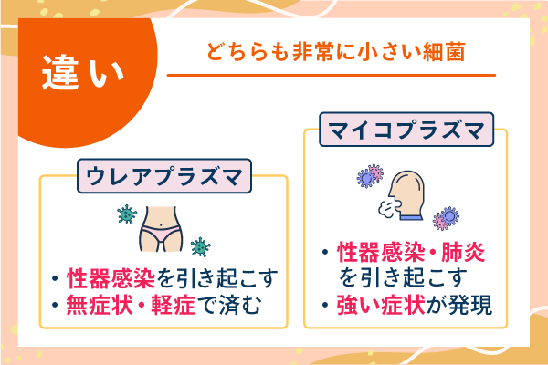 どちらも非常に小さい細菌