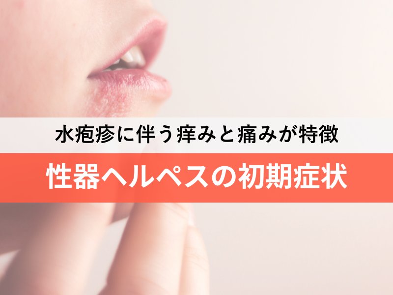 水疱疹に伴うかゆみと痛みが特徴 性器ヘルペスの初期症状