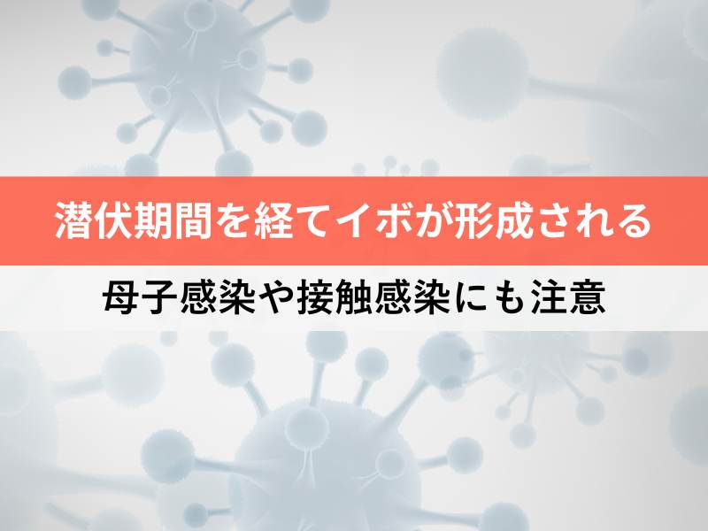 潜伏期間を経てイボが形成される 母子感染や接触感染にも注意