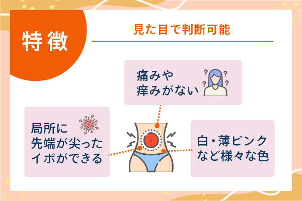特徴 見た目で判断可能
